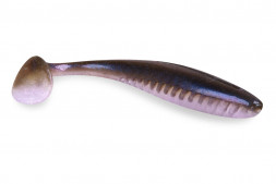 Приманка IAM FORMAT PIONEER 100mm 5шт. цвет F24